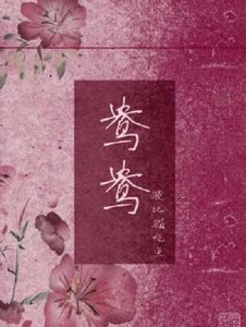 鴦鴦