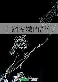 重蹈覆轍的浮生
